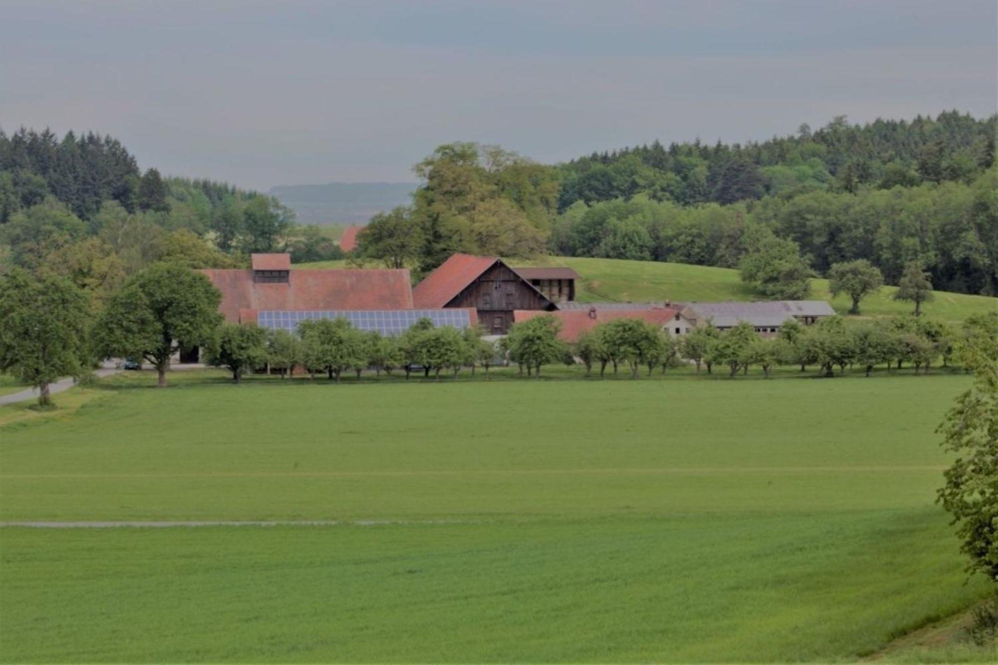 Roesslerhof Ferienwohnung Roesslerweiher Schlier Exteriör bild