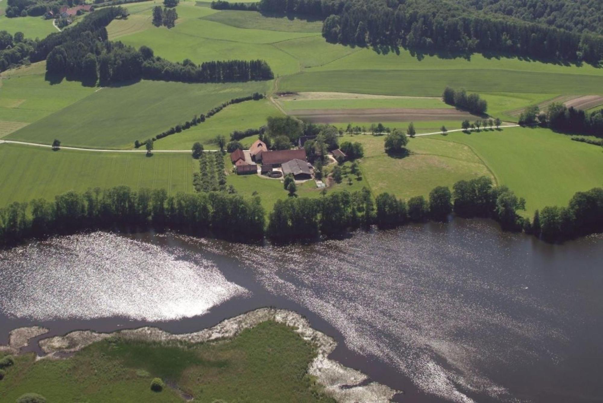 Roesslerhof Ferienwohnung Roesslerweiher Schlier Exteriör bild